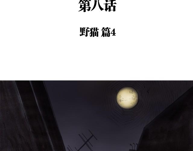 夏日长白山天池图片漫画,夏日长夜#8 野猫（4）2图