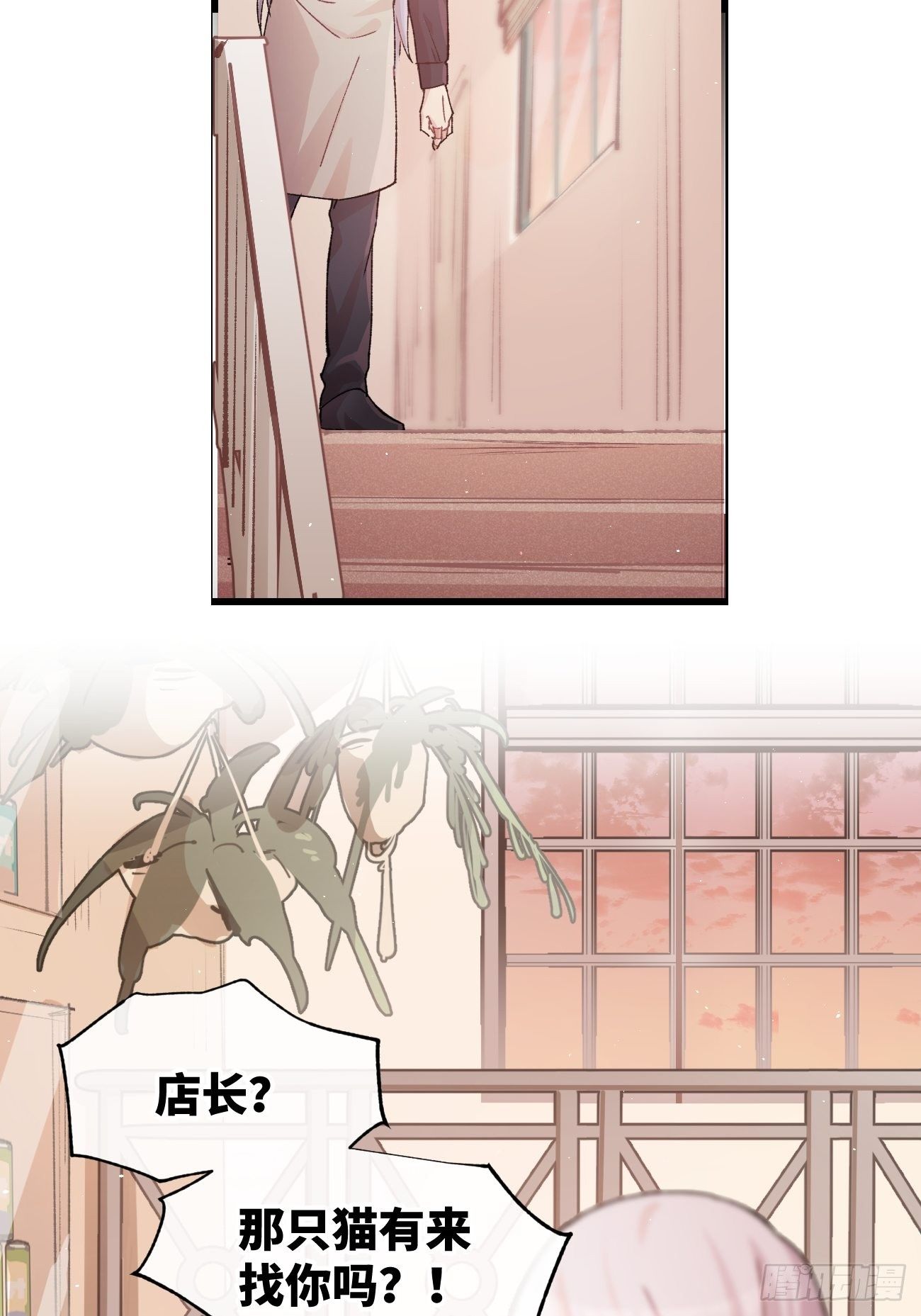 喵与喵薄荷漫画,◆10话◆ 保密1图