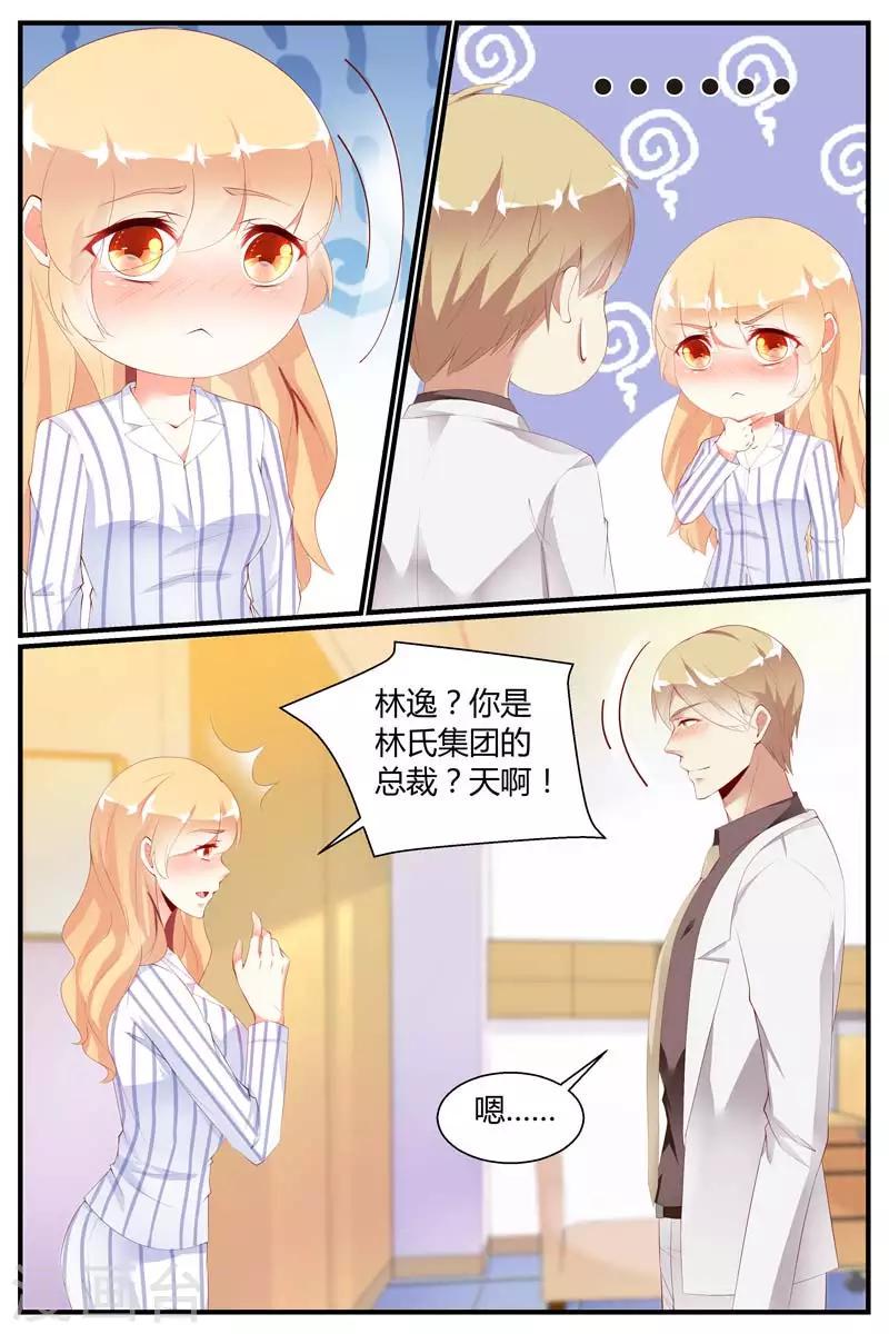 糖枫树适合在中国种漫画,第70话1图