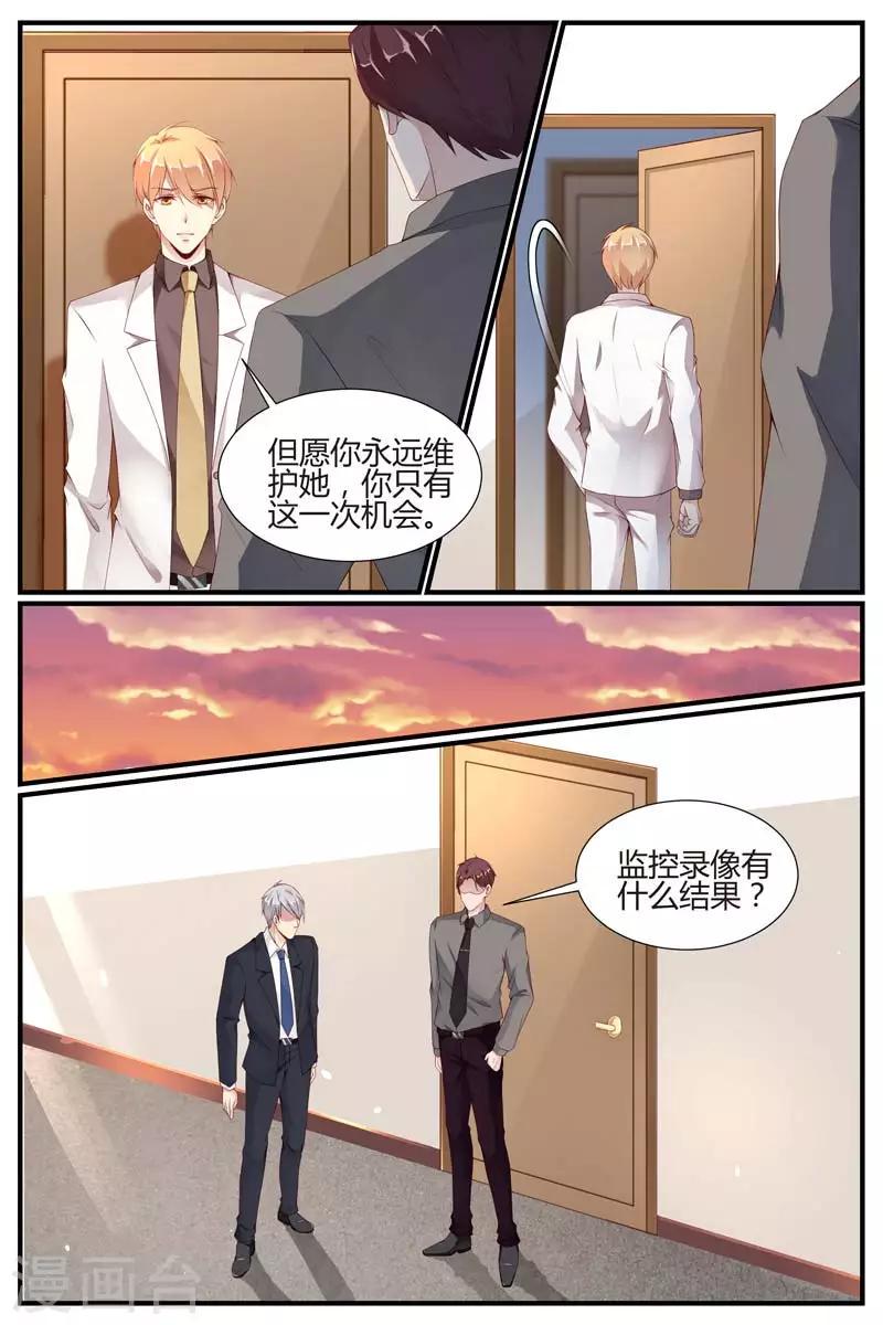 糖枫树适合在什么地方生长漫画,第43话1图