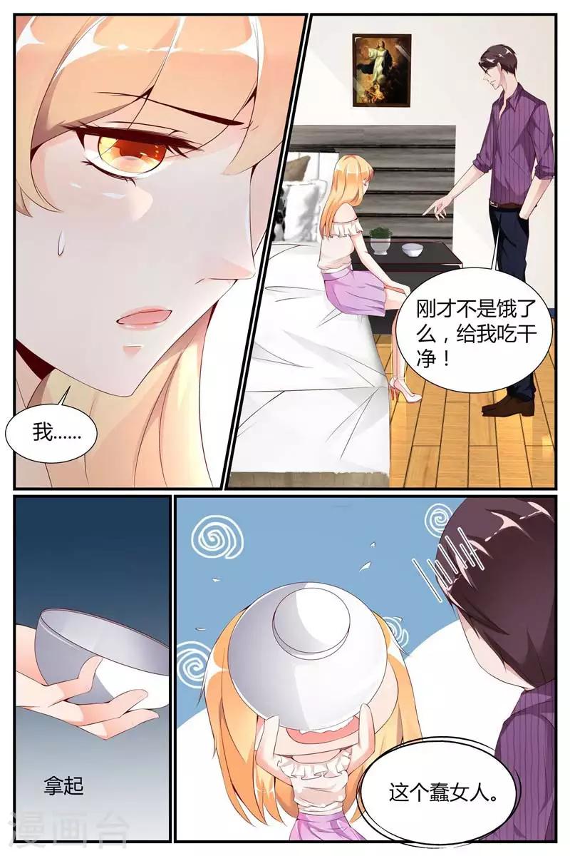 糖枫树苗哪里能买到漫画,第9话2图