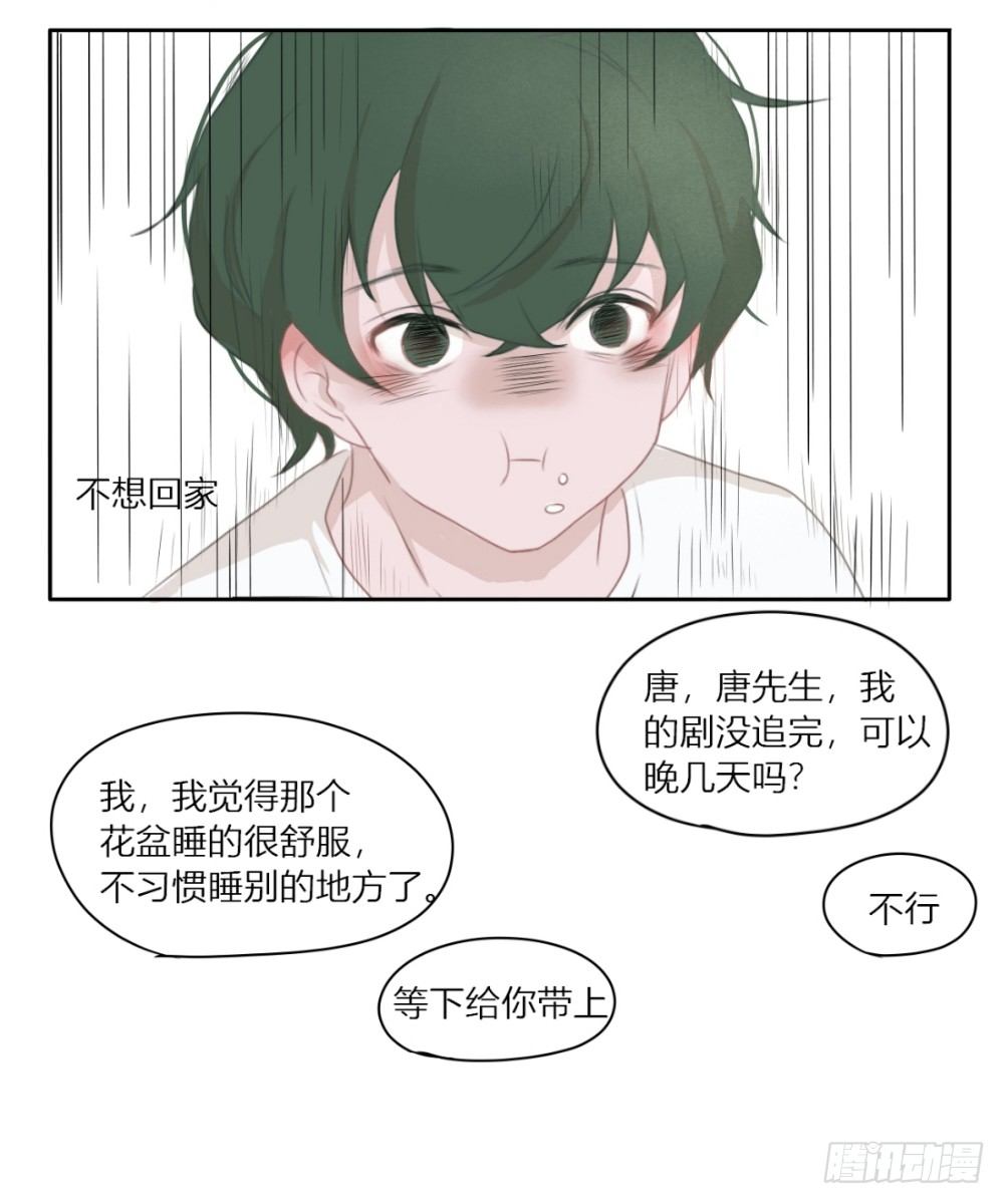 一个树精漫画,不想回家了2图