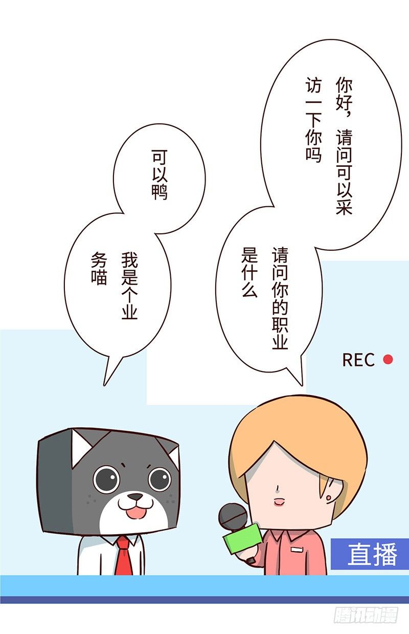 十三生肖杀手电视剧大结局漫画,毛线1图