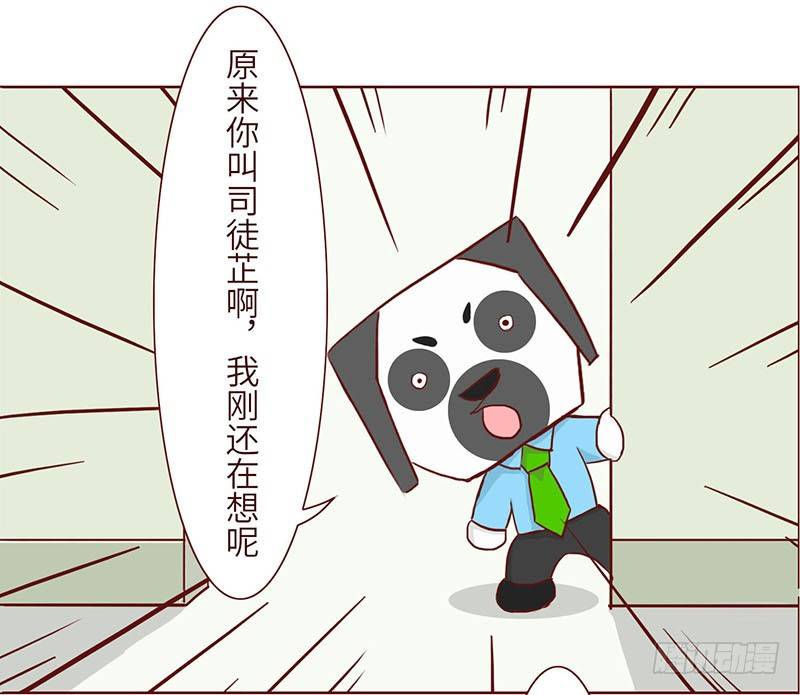 十三生肖实力排名漫画,谐音2图