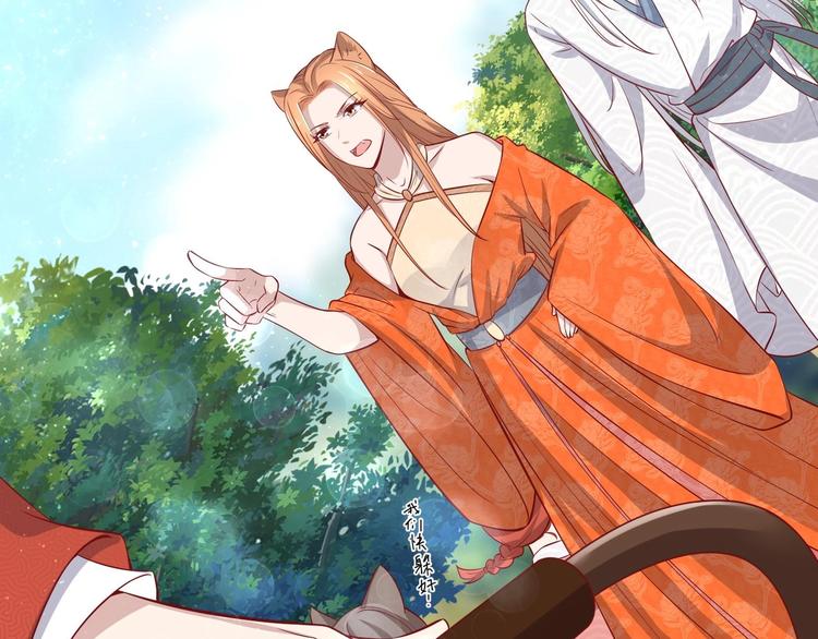 女皇后宫电视剧漫画,第19话 大闹猫妖岭1图