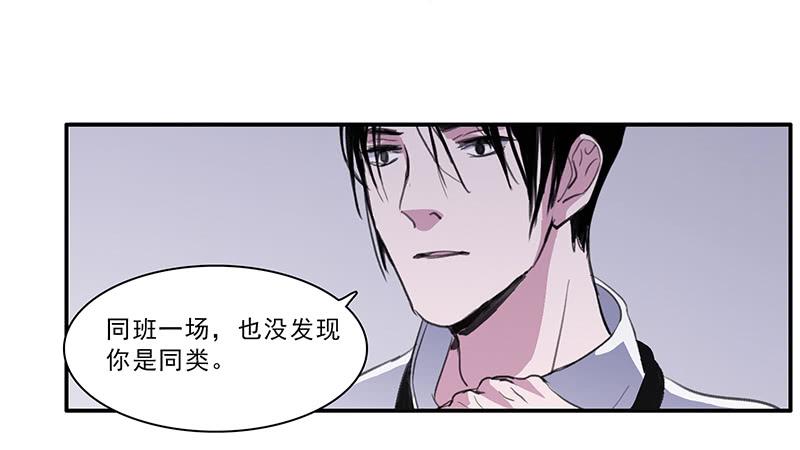 二次元是什么意思漫画,26.残缺的印迹2图