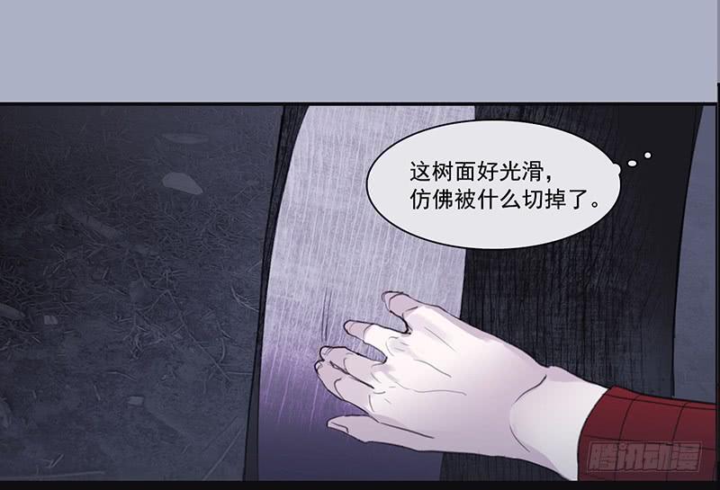 二次曝光漫画,33.森林荧光1图