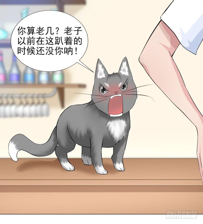 甜蜜的诅咒漫画,第13话 什嘛！卖店！！1图