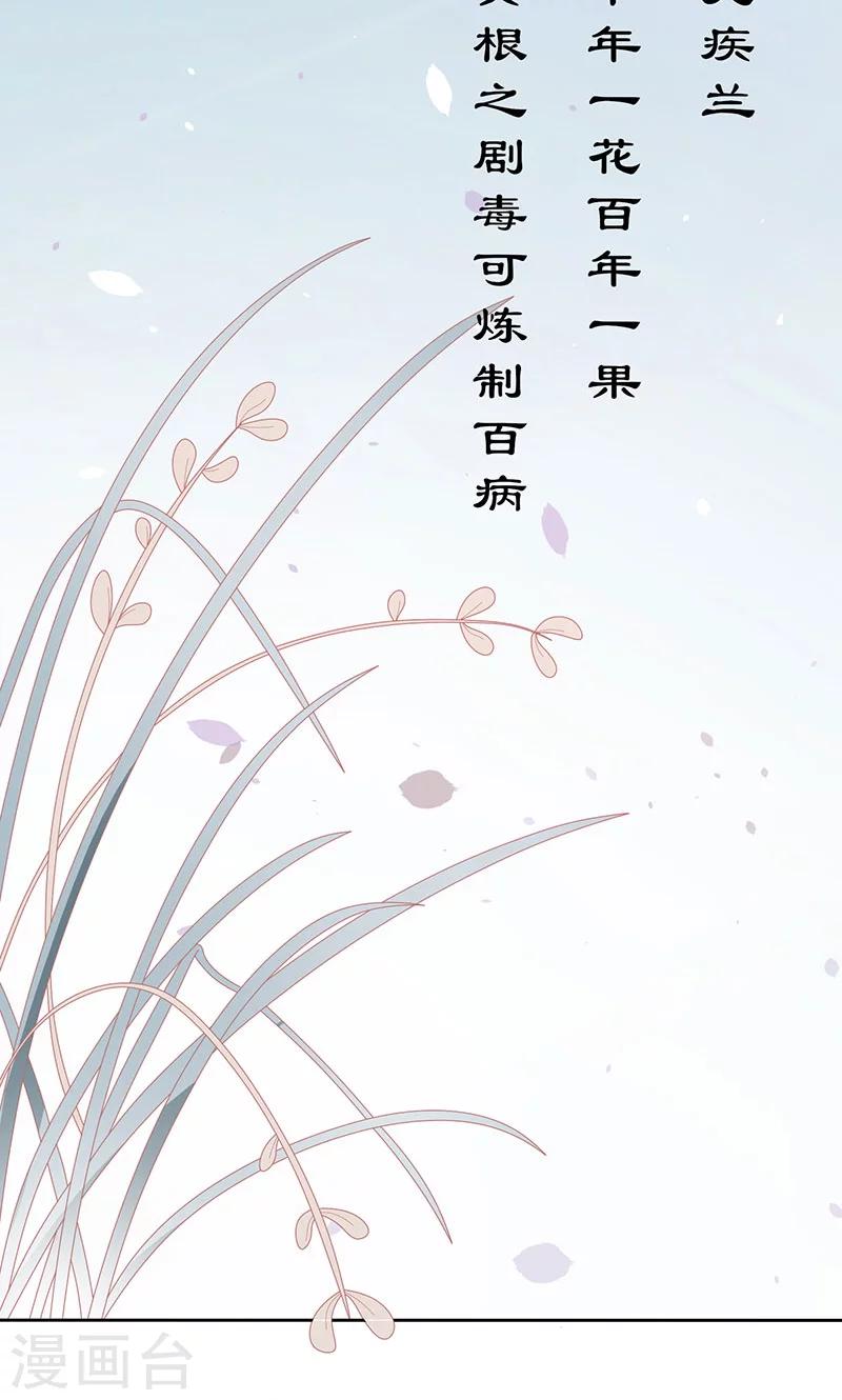 天乩之白蛇传说花絮搞笑漫画,第38话 无疾兰之根2图