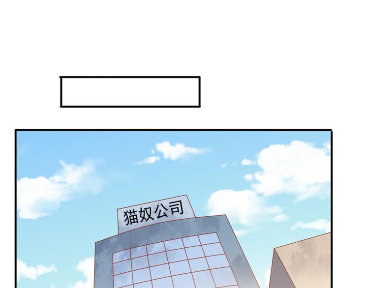 猫咪恋人漫画,第27话 有关部门介入猫人调查2图