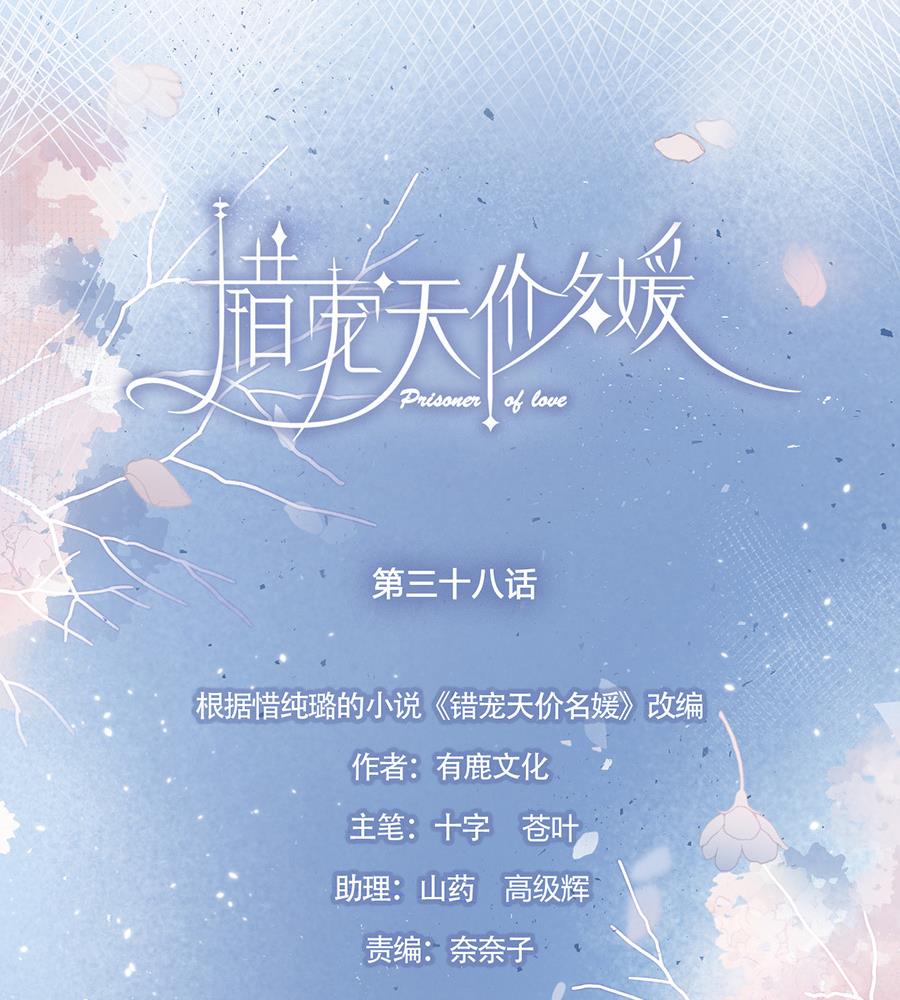 错宠天价名媛追妻火葬场漫画,第38话1图