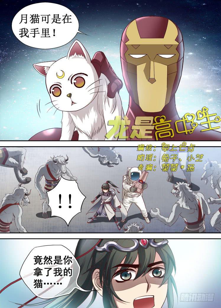 龙是高中生漫画,第35话 手中的猫1图