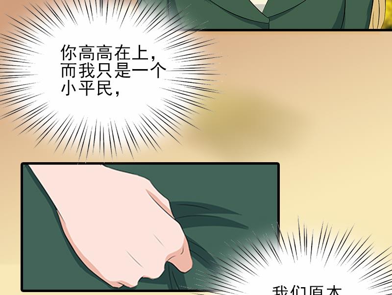 霸道顾少，请轻撩漫画,第29话 或许我们真的不能在一起1图