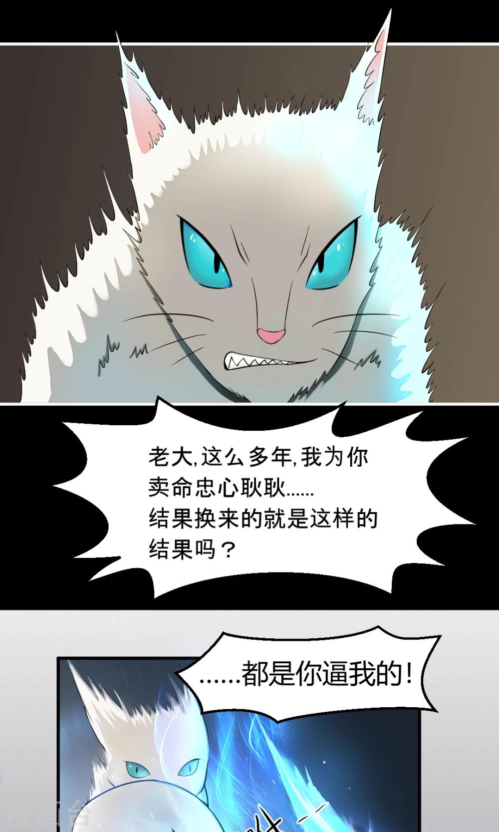 非人类前台接待处漫画,第6话 喵星人军团2图