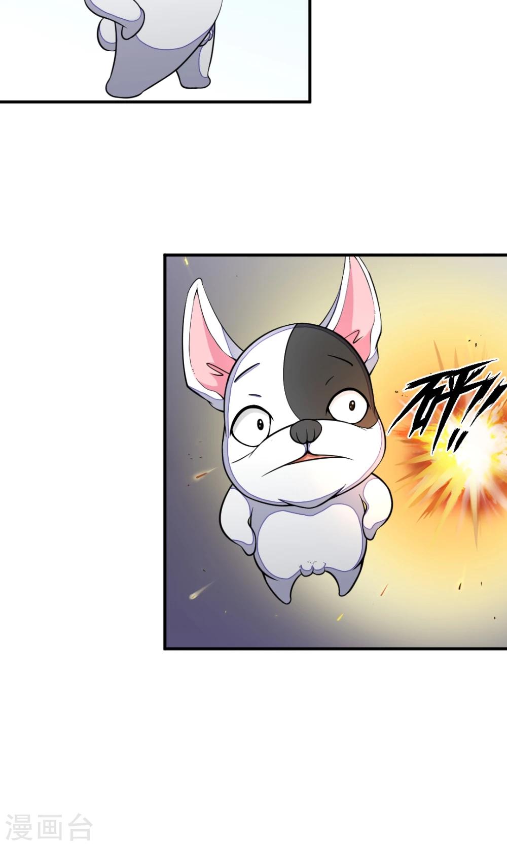 非人类前台接待处漫画,第17话 我来保护信义1图