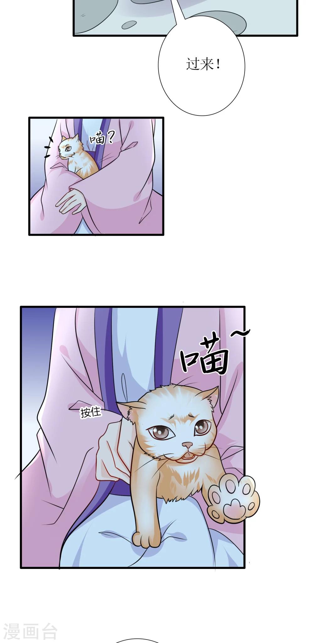 千秋我为凰沈娴txt下载漫画,第31话 沈娴的奋斗目标2图