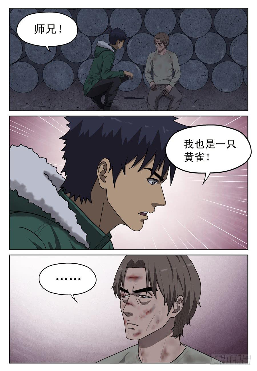 黄雀怎么养漫画,陷阱1图