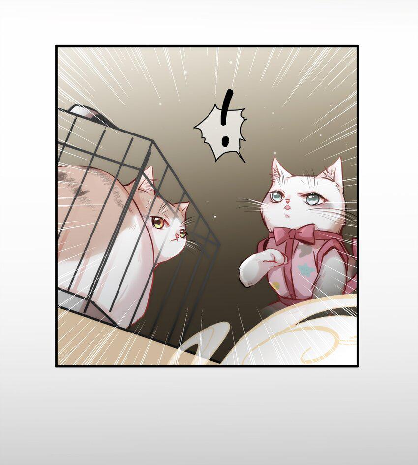 嘘！才不是驯养关系漫画,011 “偷卷”误遇杀机1图