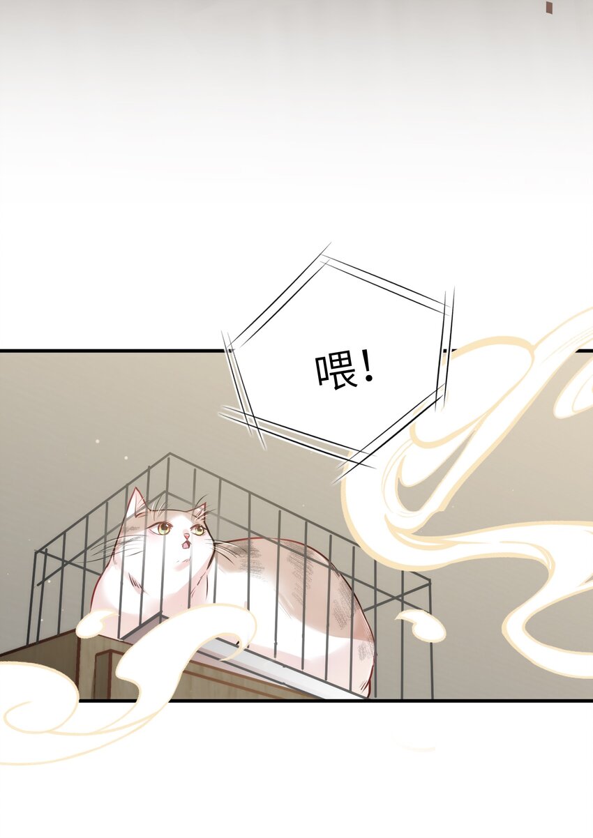 嘘！才不是驯养关系漫画,011 “偷卷”误遇杀机1图