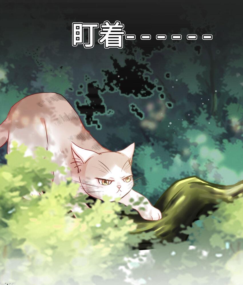 嘘！才不是驯养关系漫画,009 猫届女装大佬是小偷？2图