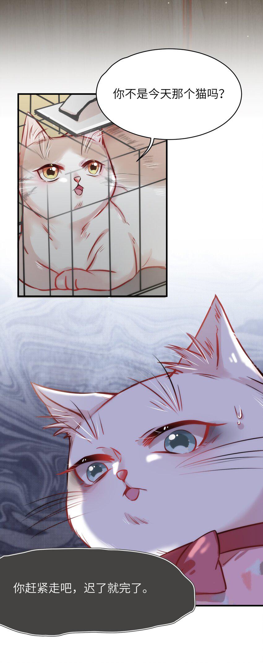 嘘！才不是驯养关系漫画,011 “偷卷”误遇杀机1图