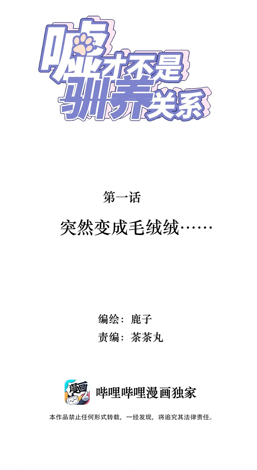 嘘！才不是驯养关系漫画,001 突然变成毛绒绒……2图