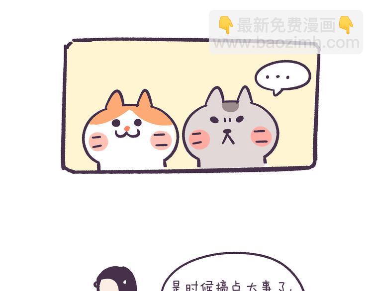 胡子少女追爱日志漫画,挑战好奇心大作战2图
