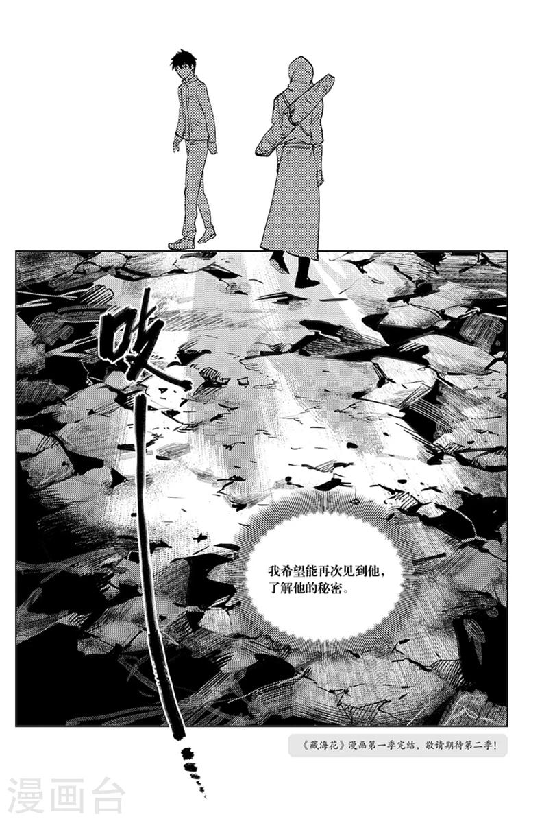 藏海花36集全免费播放漫画,最终话2图