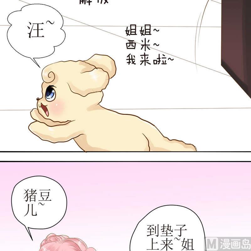 西米和猪豆儿漫画,第23话 可怜的垫子2图