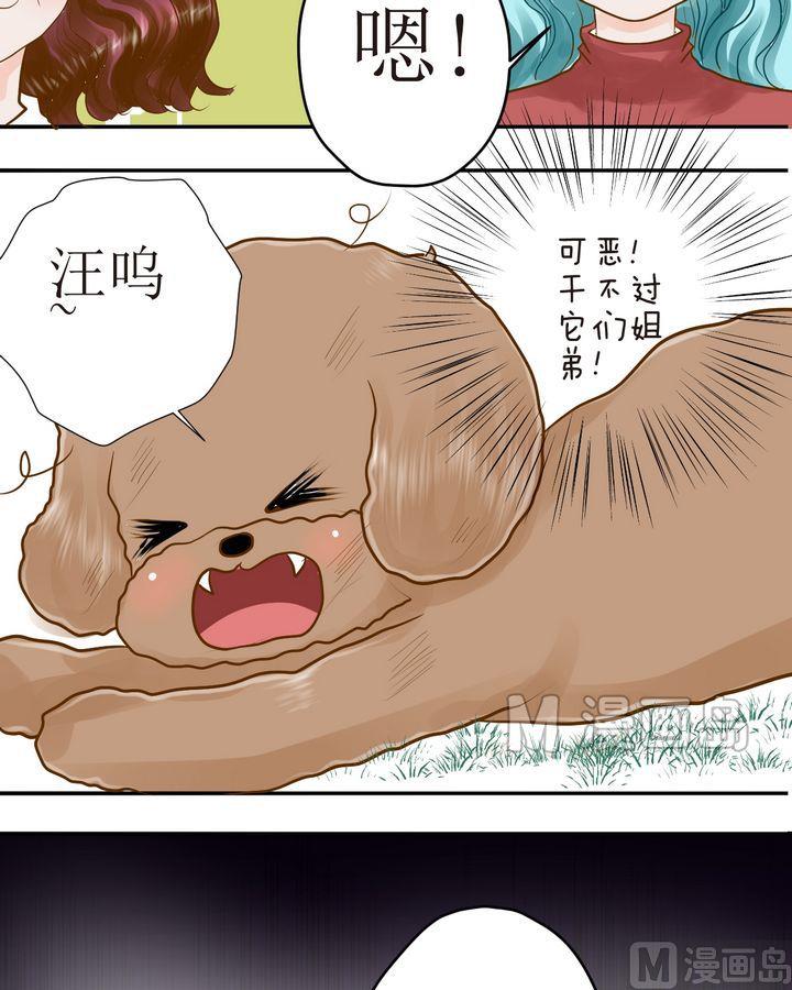 西米和猪豆儿漫画,第29话 毛小孩的战斗（下）2图