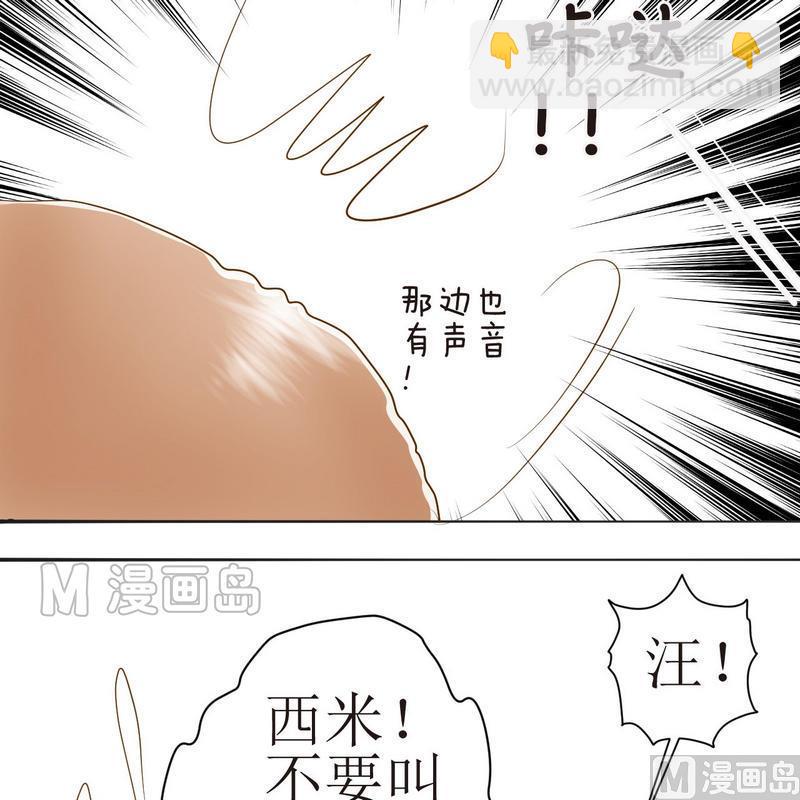 西米和猪豆儿漫画,第21话 狗狗心事（上）2图