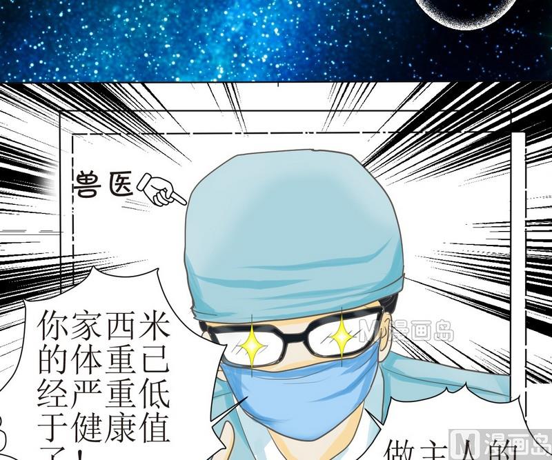 西米和红豆绿豆一起煮叫什么名字漫画,第2话 第二个毛孩儿2图