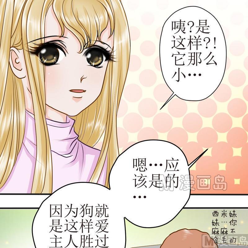 西米和红豆和糖漫画,第21话 狗狗心事（上）1图