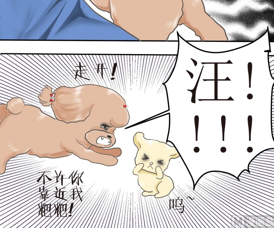 西米和猪豆儿漫画,第3话 伤心的小公举2图