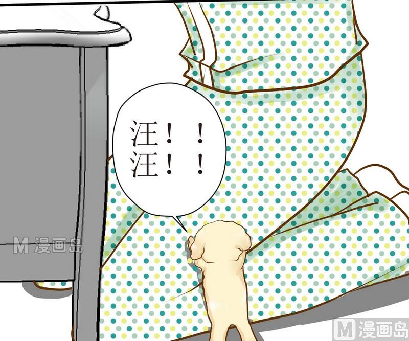 西米可以和黄豆一起打豆浆吗漫画,第8话 汝名猪豆儿1图