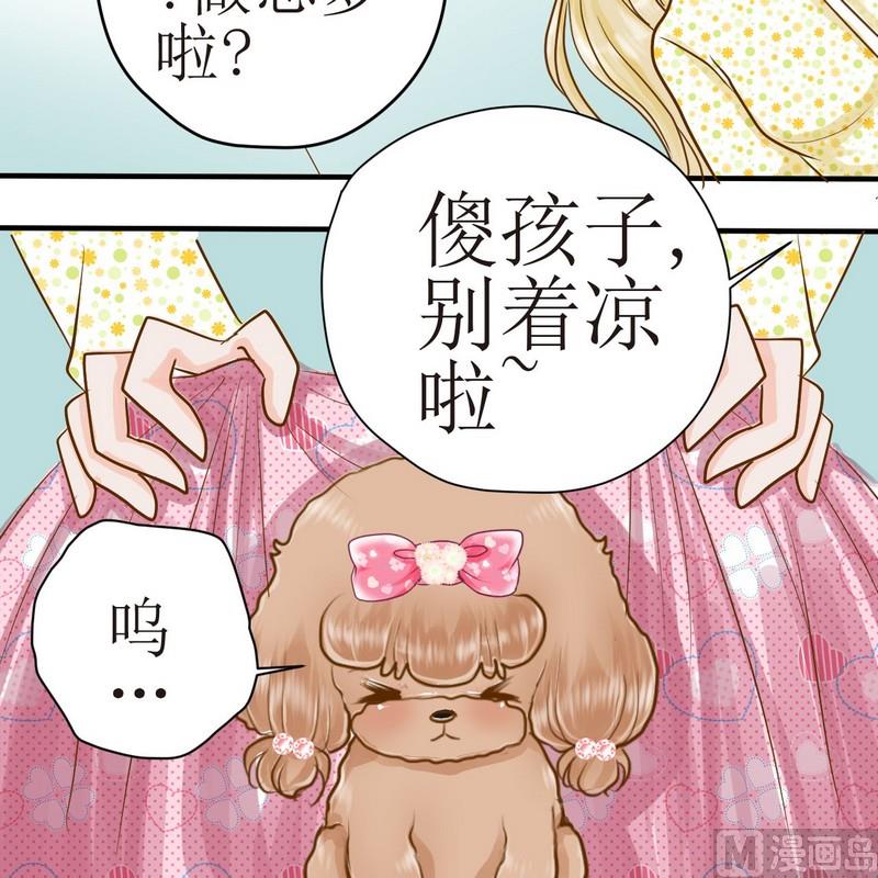 西米和猪豆儿漫画,第22话 狗狗心事（下）2图