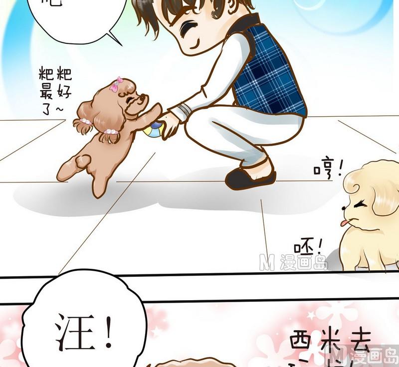 西米和猪豆儿漫画,第11话 我也要球球嘛1图
