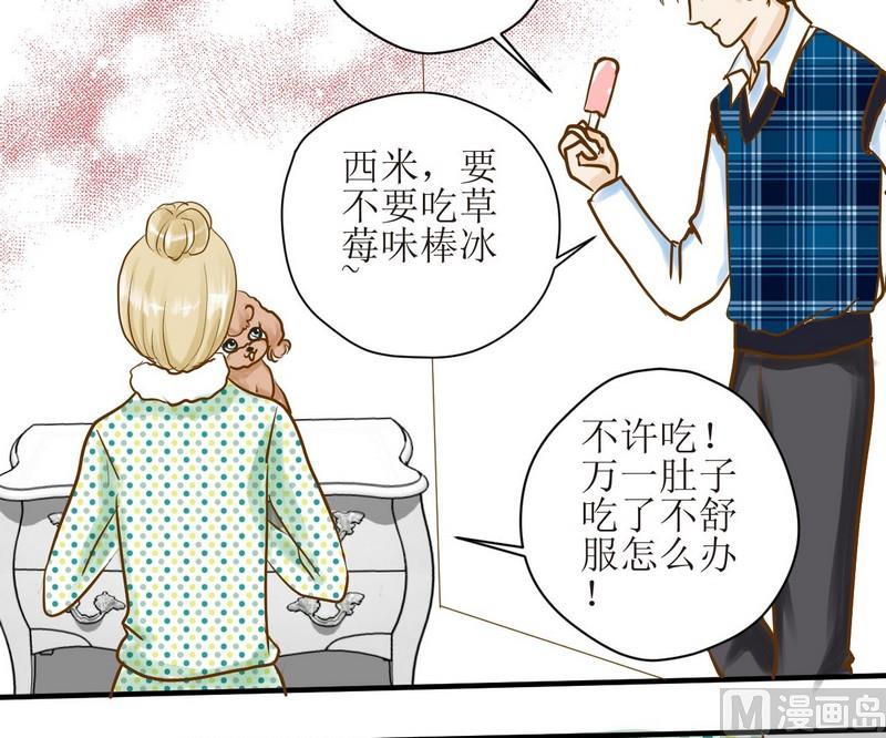 西米可以和黄豆一起打豆浆吗漫画,第8话 汝名猪豆儿2图