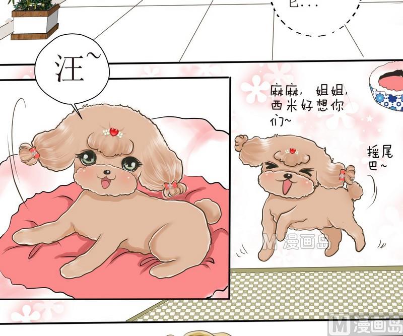 西米和猪豆儿漫画,第2话 第二个毛孩儿1图