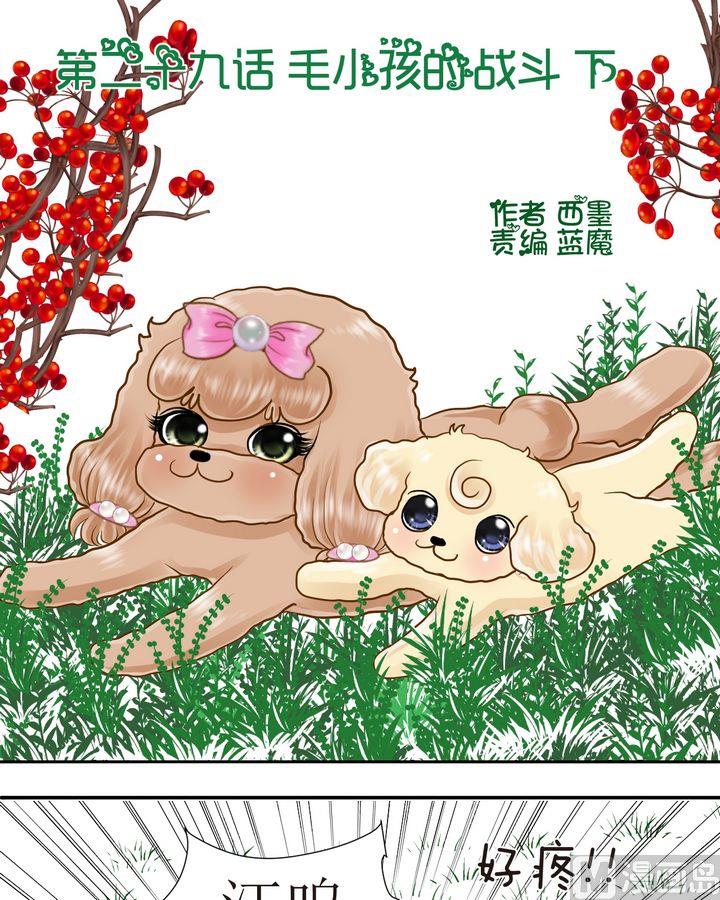 西米和粘米粉怎么做好吃漫画,第29话 毛小孩的战斗（下）1图