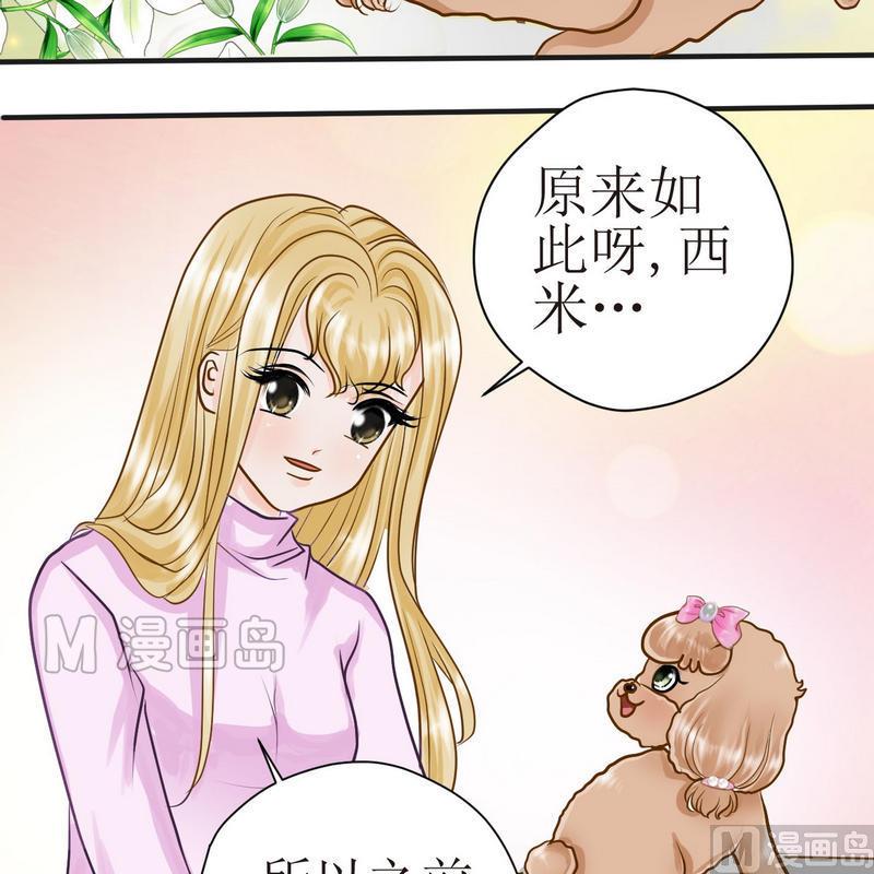 西米和红豆和糖漫画,第21话 狗狗心事（上）1图