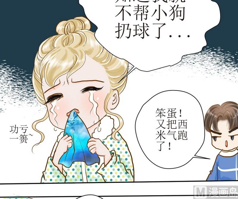 西米和猪豆儿漫画,第4话 留还是不留？1图