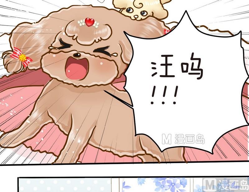 西米和红豆绿豆一起煮叫什么名字漫画,第6话 开课啦（上）2图