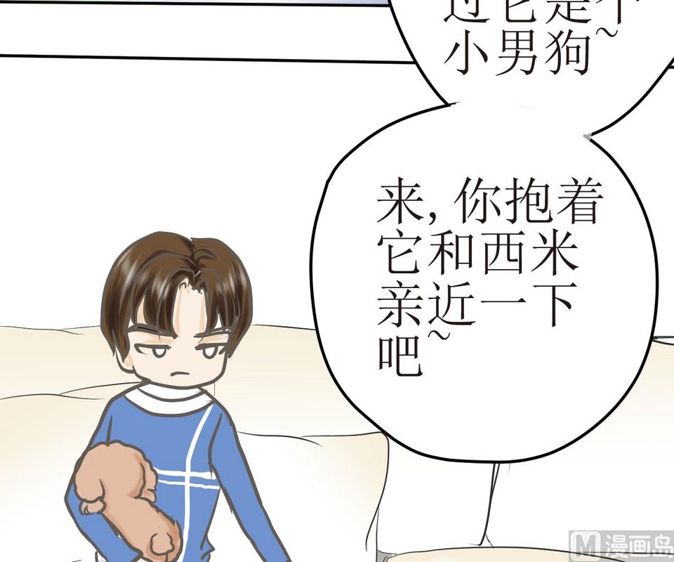 西米和猪豆儿漫画,第3话 伤心的小公举2图
