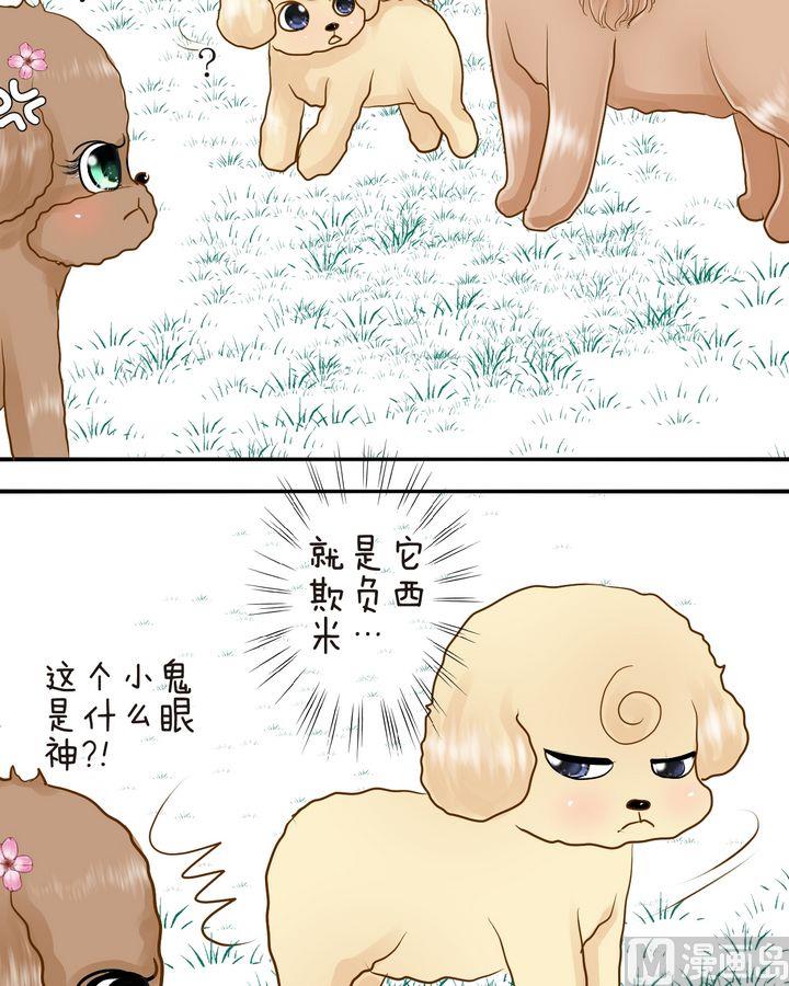 西米和猪豆儿漫画,第28话 毛小孩的战斗（上）1图