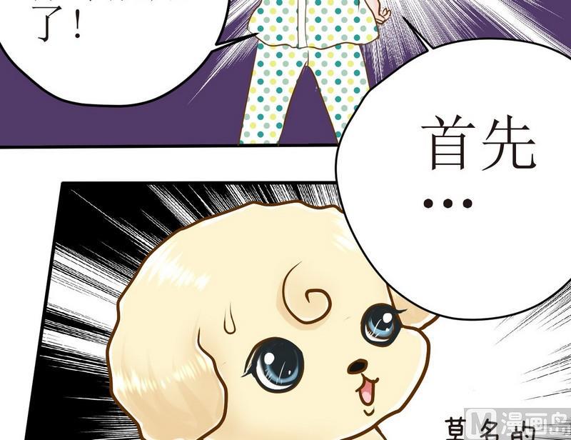 西米和小西米的区别漫画,第6话 开课啦（上）1图