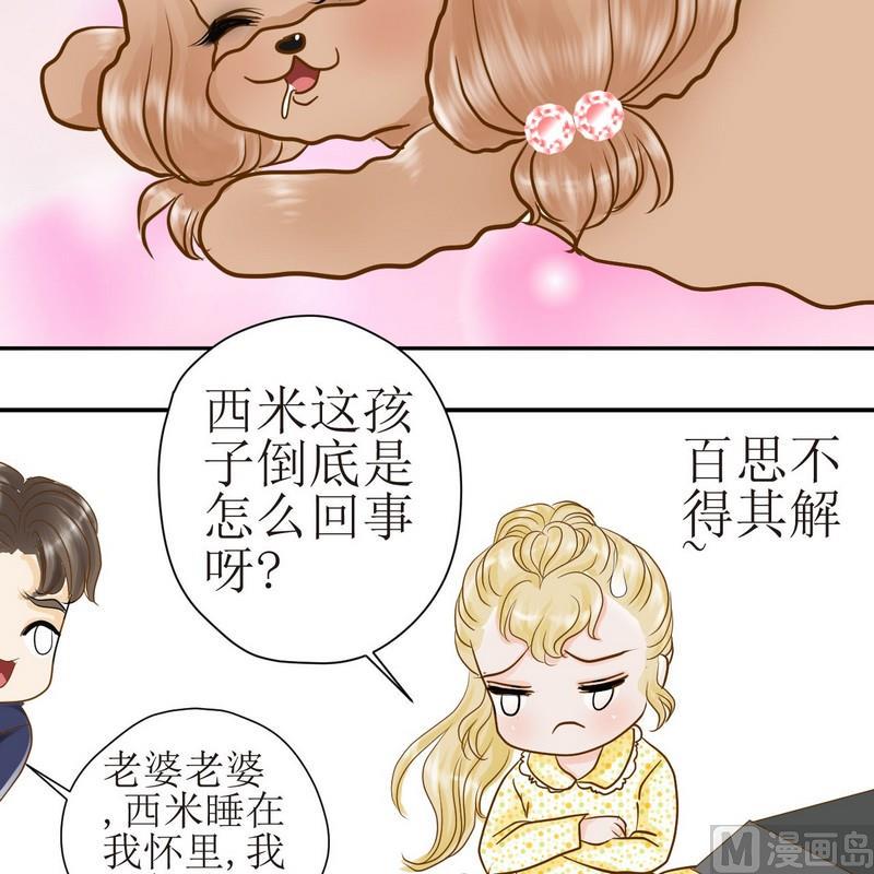 西米和猪豆儿漫画,第22话 狗狗心事（下）1图