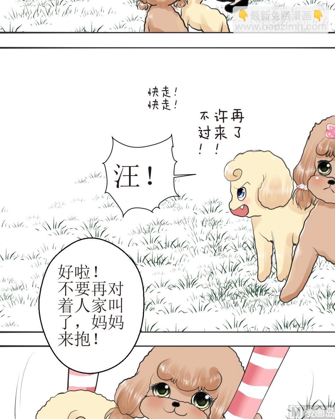 西米和芋圆怎么煮漫画,第四十三话一起玩（下）2图