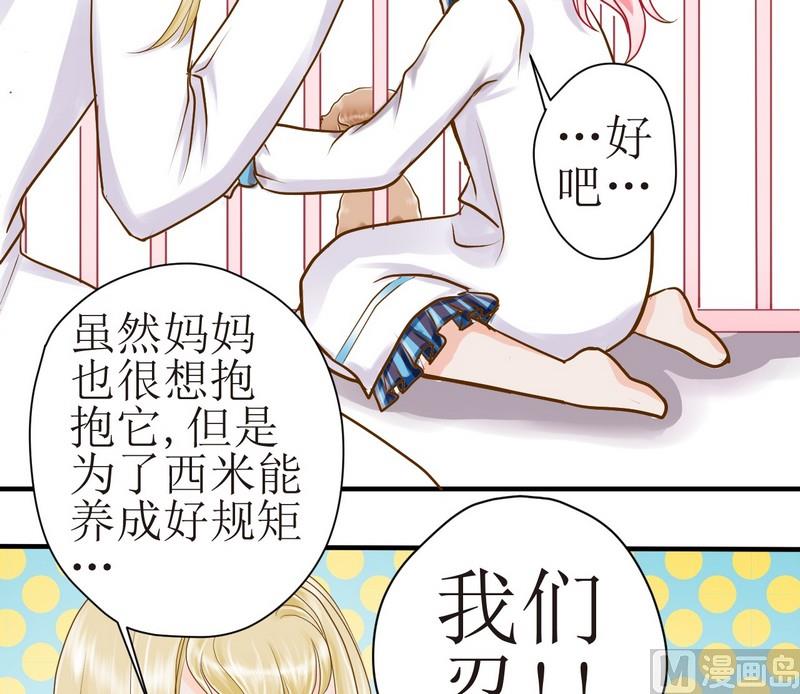 西米和猪豆儿漫画,第15话 番外 初见西米（上）1图