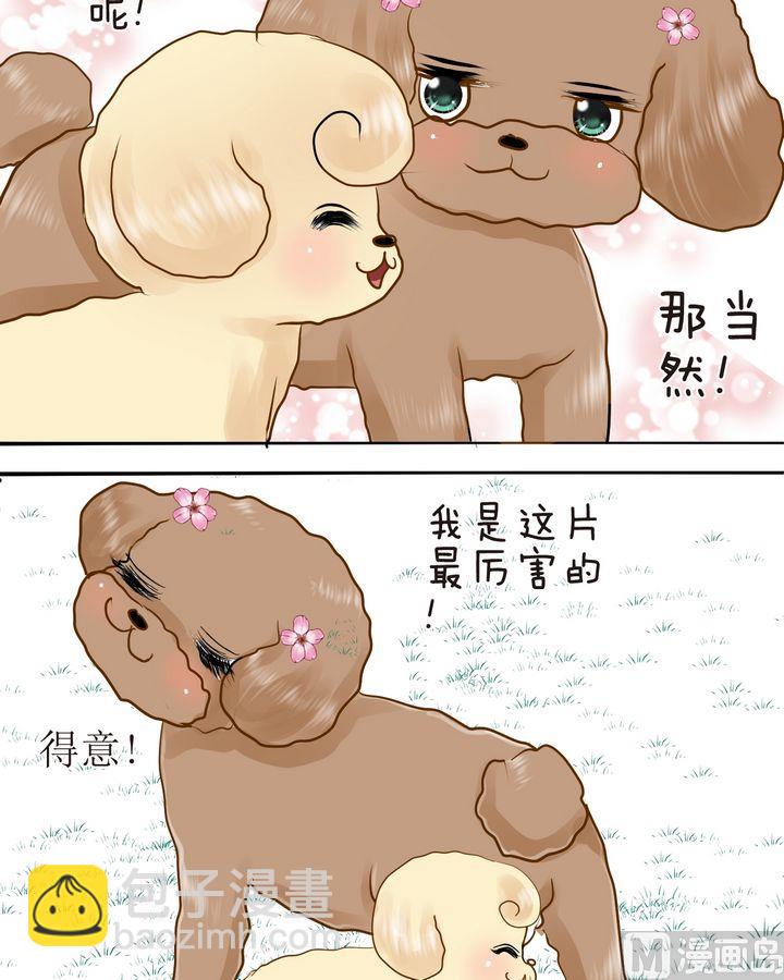 西米和猪豆儿漫画,第28话 毛小孩的战斗（上）2图